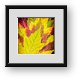 Buy Framed Print