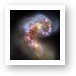 Antennae Galaxies Art Print