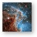 New Hubble image of NGC 2174 Metal Print