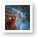 New Hubble image of NGC 2174 Art Print