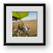 Buy Framed Print
