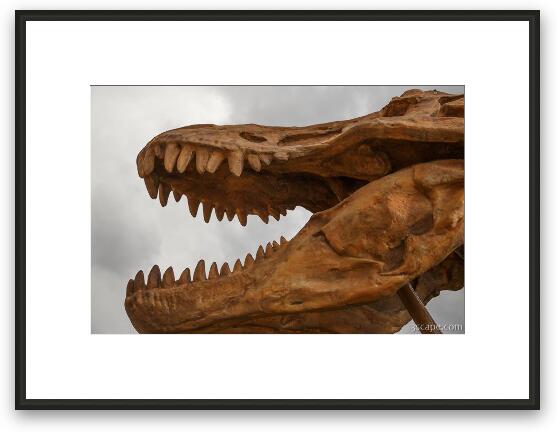 Tyrannosaurus Rex head at T-Rex restaurant Framed Fine Art Print