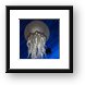 Giant Jellyfish (T-Rex restaurant) Framed Print