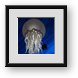 Buy Framed Print