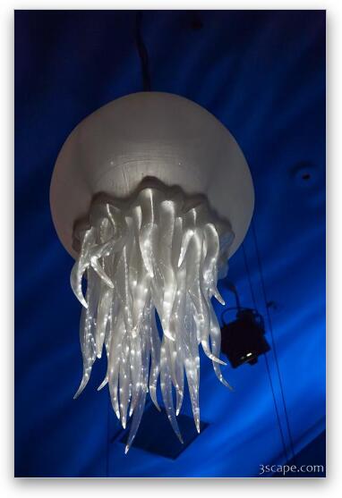 Giant Jellyfish (T-Rex restaurant) Fine Art Metal Print