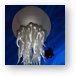 Giant Jellyfish (T-Rex restaurant) Metal Print