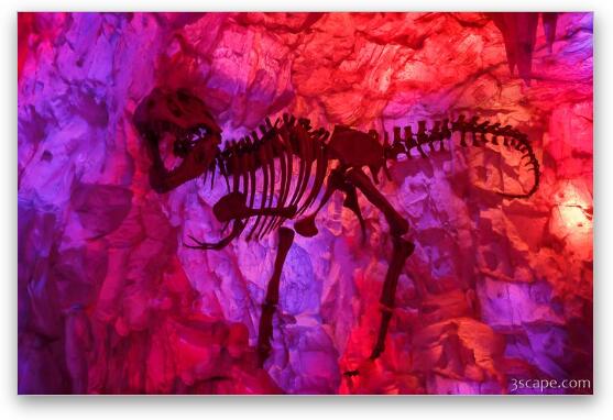 T-Rex Skeleton Fine Art Metal Print