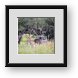 Buy Framed Print