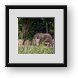Buy Framed Print