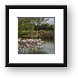 Flamingo Pond Framed Print