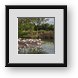 Buy Framed Print