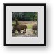 Buy Framed Print