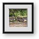 Buy Framed Print