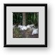 Buy Framed Print