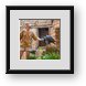 Buy Framed Print