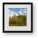 Buy Framed Print