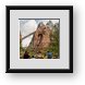 Buy Framed Print