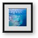 Buy Framed Print