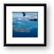 Grand Cayman from the air Framed Print