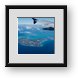 Buy Framed Print