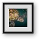 Buy Framed Print