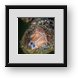 Buy Framed Print