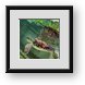 Buy Framed Print