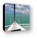 Sailing out to Stingray City Canvas Print