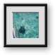 Buy Framed Print