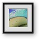 Buy Framed Print