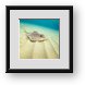 Buy Framed Print