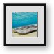 Buy Framed Print
