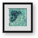 Buy Framed Print