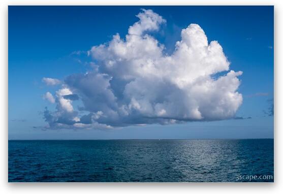 Giant Puffy Cloud over the Sea Fine Art Metal Print