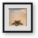 Buy Framed Print
