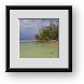 Buy Framed Print