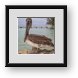 Buy Framed Print