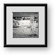 Buy Framed Print