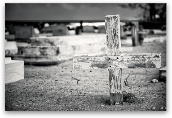 Unmarked Grave, Old Man Bay Cemetery Fine Art Metal Print